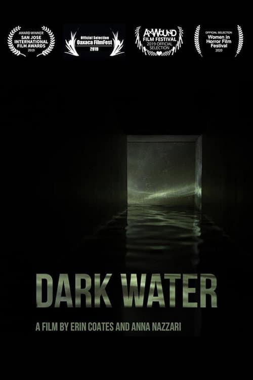 Постер: Dark Water