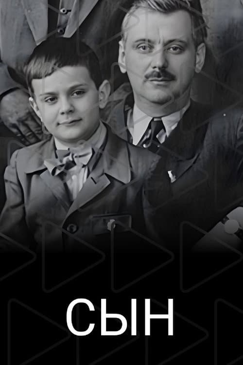 Постер: Сын