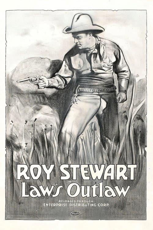 Постер: The Law's Outlaw