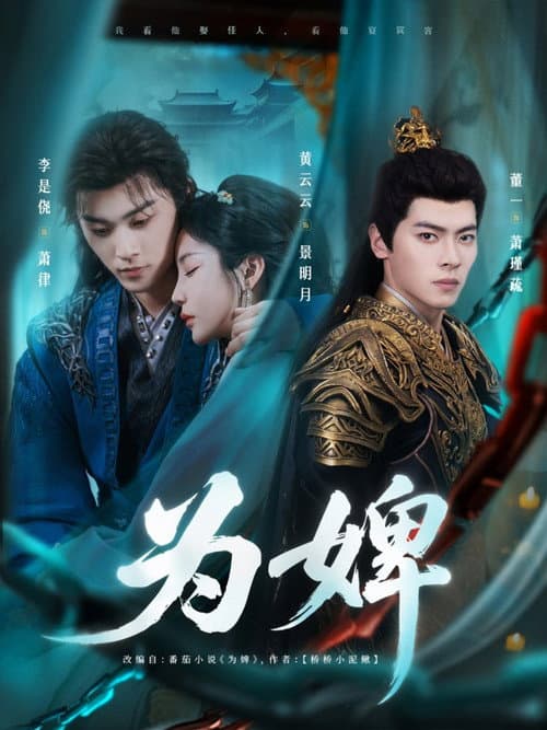 Постер: 为婢