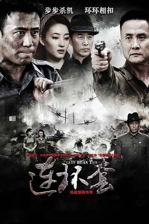 Постер: 连环套