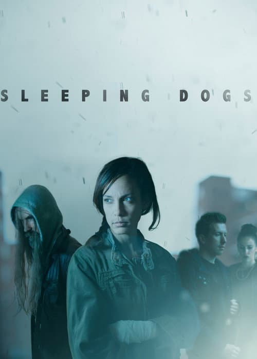 Постер: Sleeping Dogs