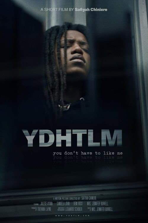 Постер: YDHTLM: You Don't Have to Like Me