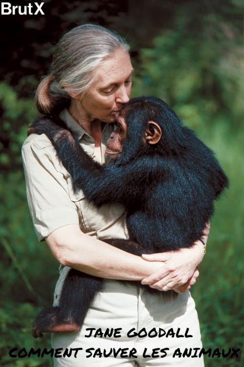 Постер: Jane Goodall : Comment sauver les animaux