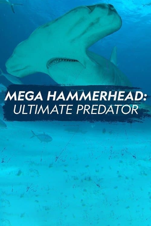 Постер: Mega Hammerhead: Ultimate Predator