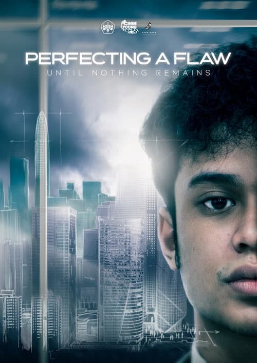 Постер: Perfecting A Flaw Until Nothing Remains