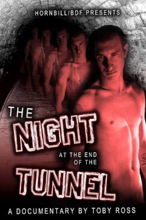 Постер: The Night at the End of the Tunnel