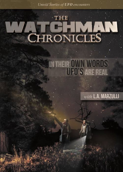 Постер: The Watchman Chronicles