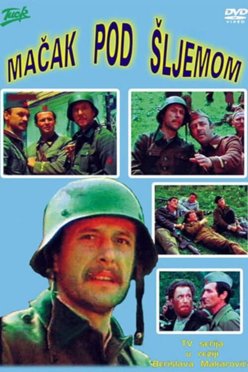Постер: Mačak pod šljemom