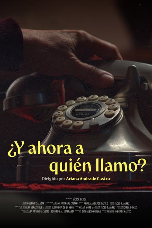 Постер: ¿Y ahora a quién llamo?