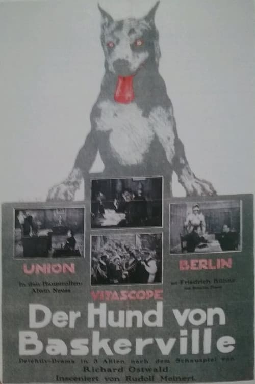 Постер: Der Hund von Baskerville