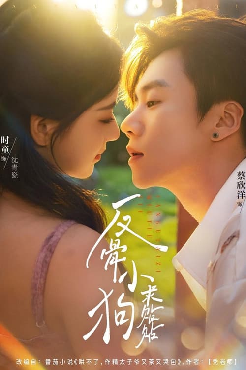Постер: 反骨小狗求贴贴