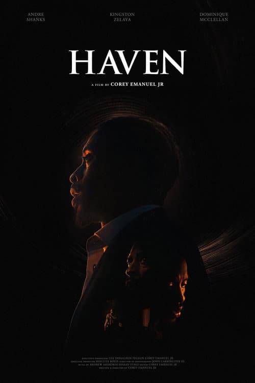 Постер: Haven