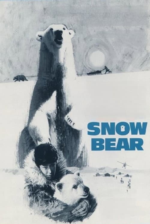 Постер: Snow Bear