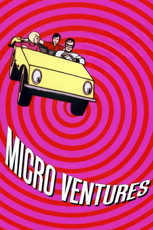 Постер: Micro Ventures