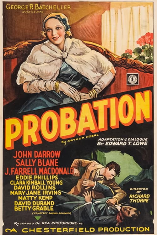 Постер: Probation