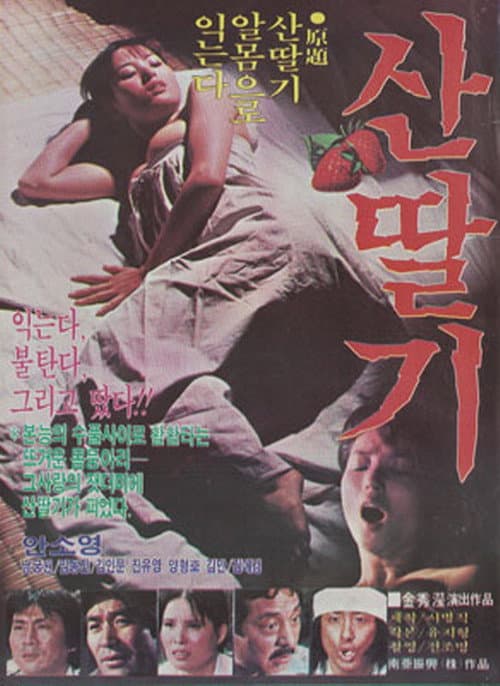 Постер: 산딸기