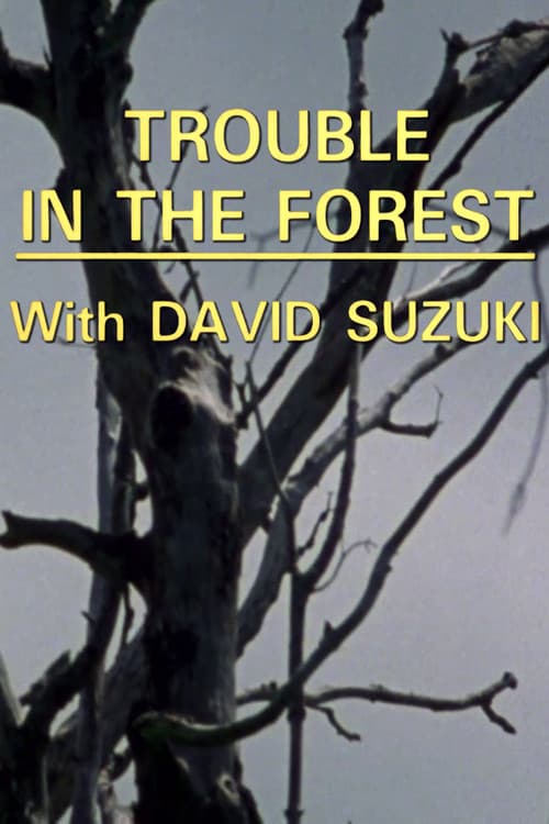 Постер: Trouble in the Forest