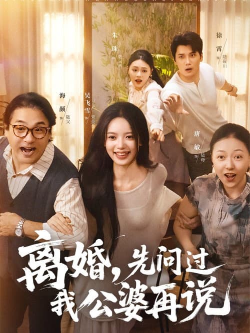 Постер: 离婚,先问过我公婆再说