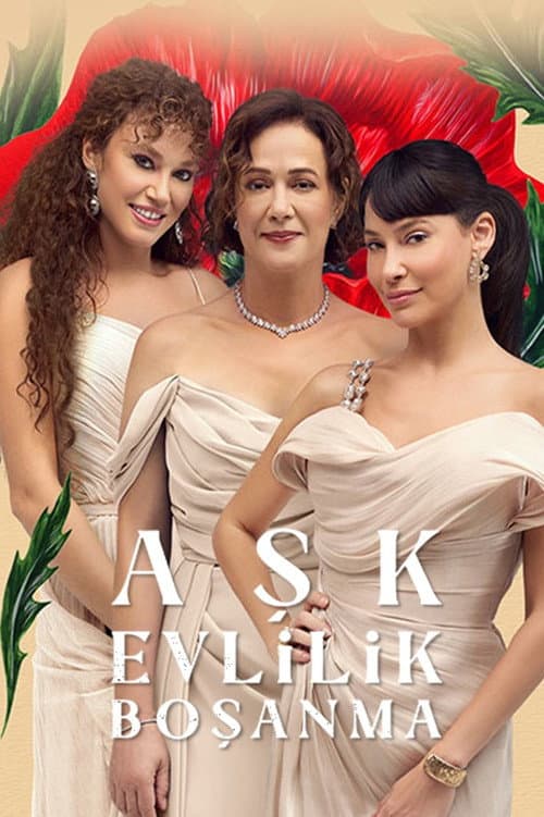 Постер: Aşk Evlilik Boşanma