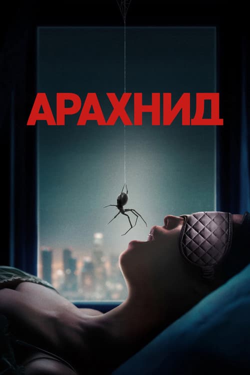 Кадр 2