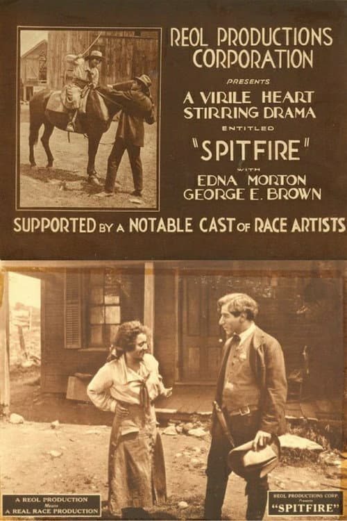 Постер: Spitfire
