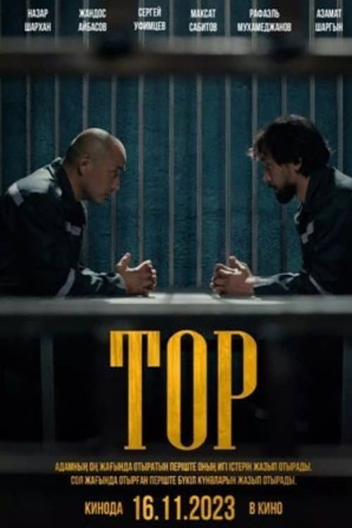 Постер: Тор