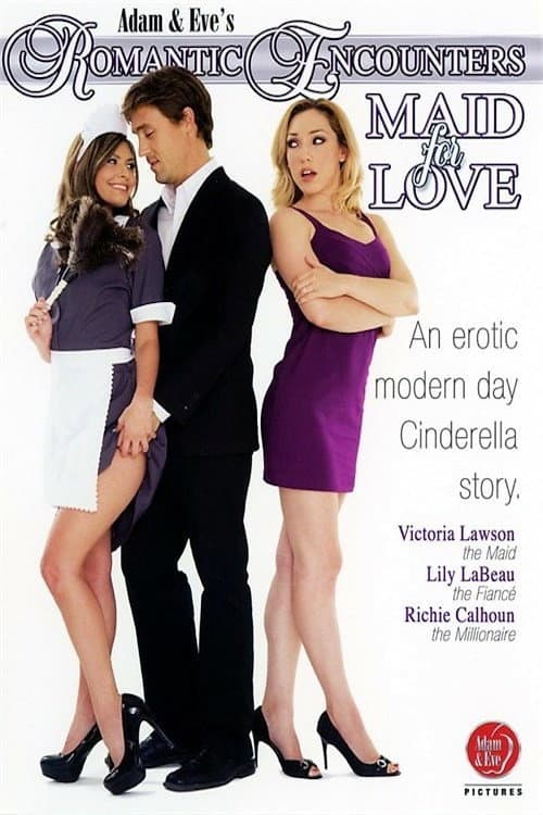 Постер: Romantic Encounters: Maid For Love