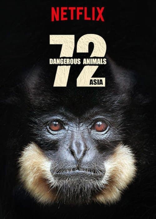Постер: 72 Dangerous Animals: Asia
