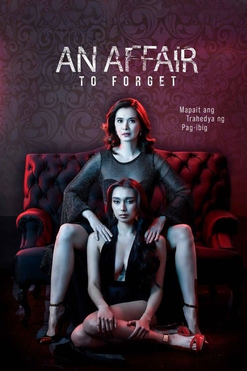 Постер: An Affair to Forget