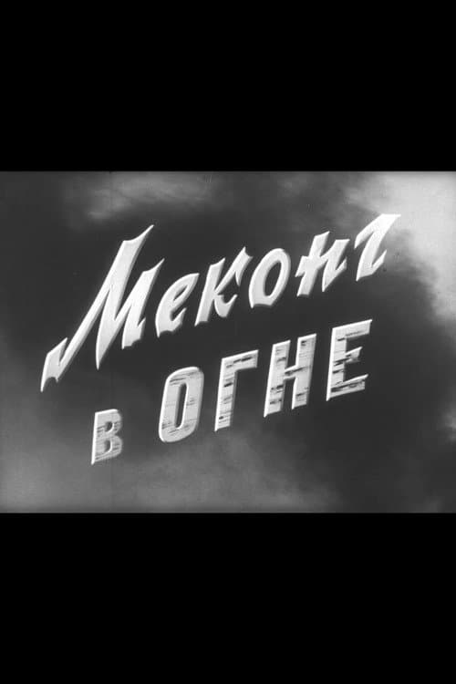 Постер: Меконг в огне