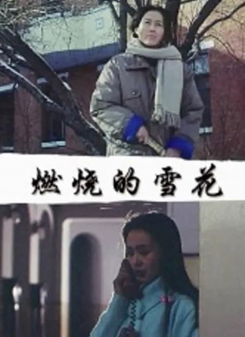 Постер: 燃烧的雪花