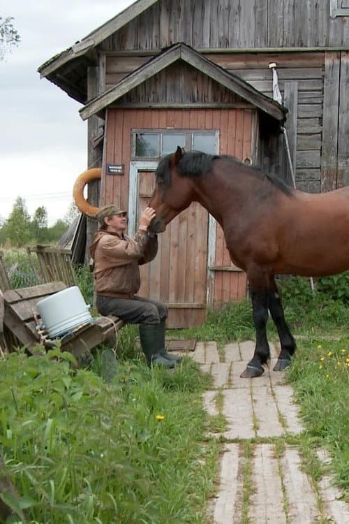Постер: The Robinsons of Mantsinsaari