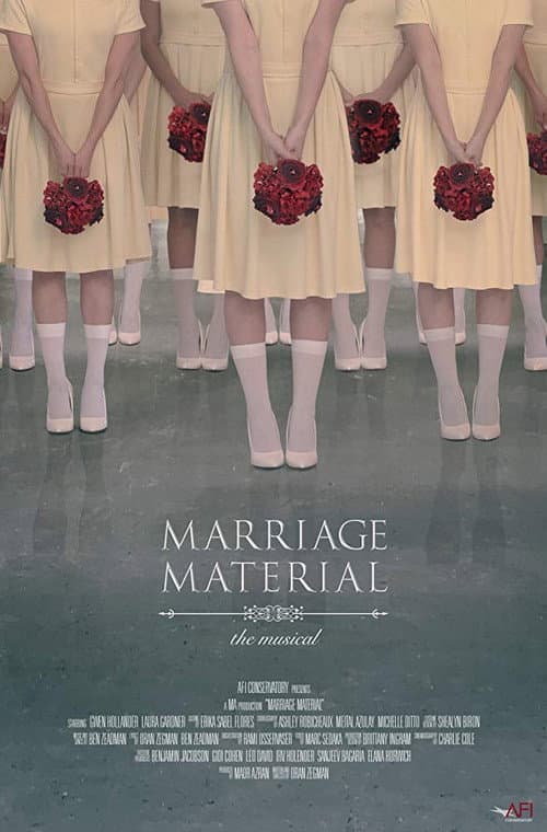 Постер: Marriage Material