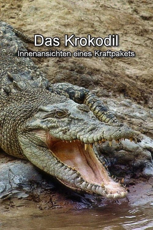 Постер: Das Krokodil - Innenansichten eines Kraftpakets
