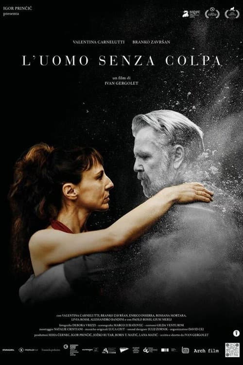 Постер: L'uomo senza colpa