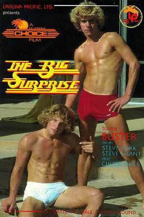 Постер: The Big Surprise