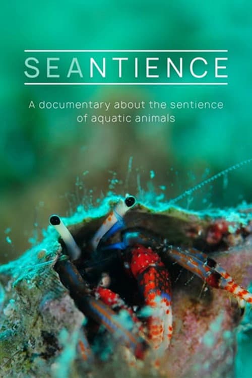 Постер: Seantience