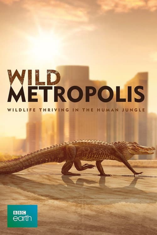 Постер: Wild Metropolis