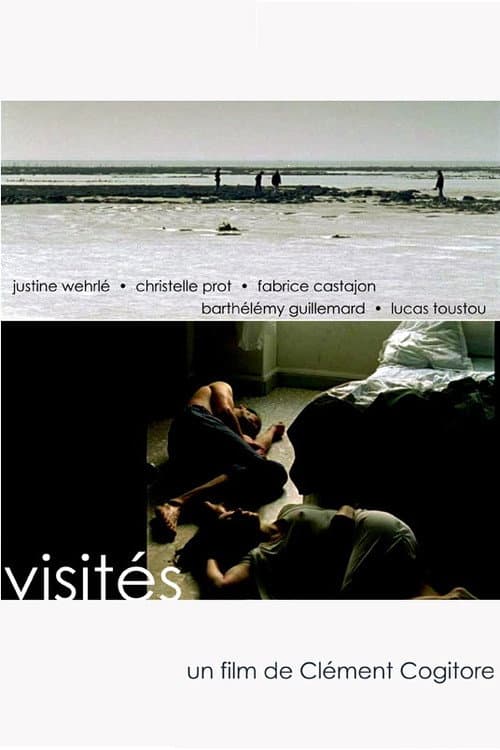 Постер: Visités