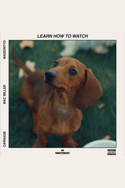 Постер: Learn How to Watch