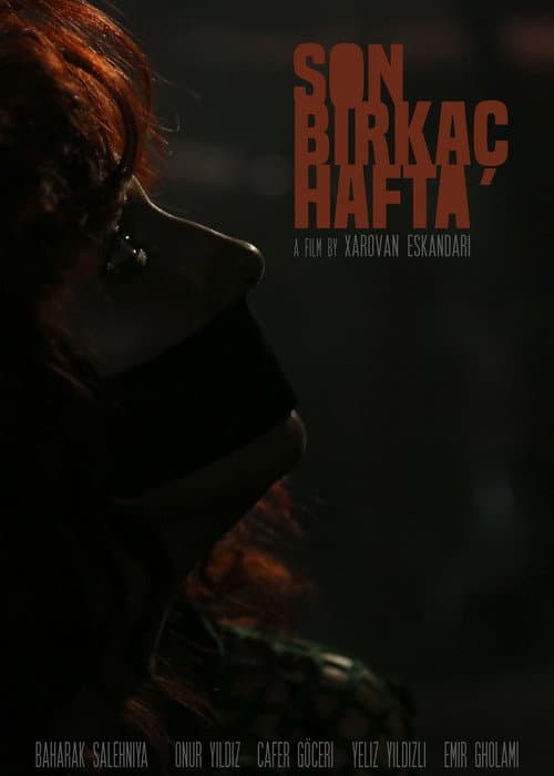 Постер: Son Birkaç Hafta
