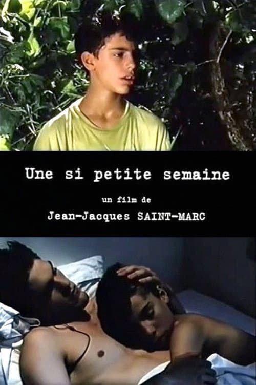 Постер: Une Si petite semaine