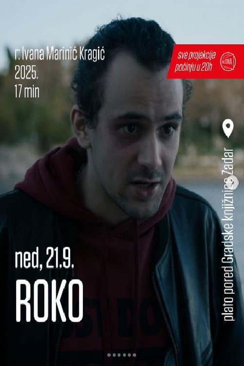 Постер: Roko