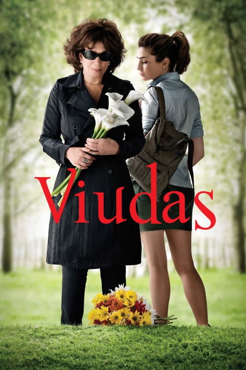 Постер: Viudas