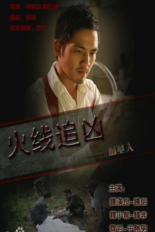 Постер: 火线追凶之掘墓人