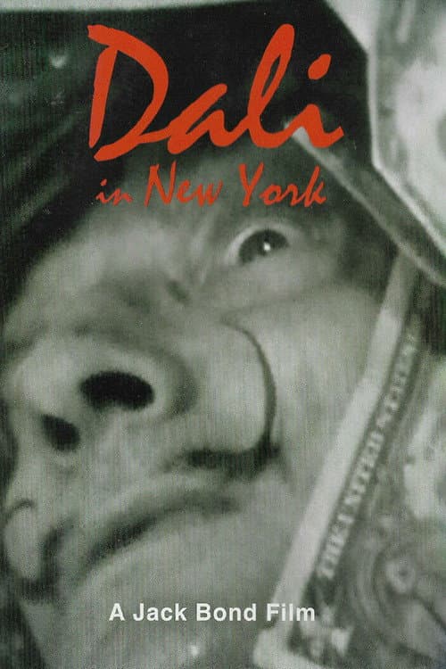 Постер: Dali In New York