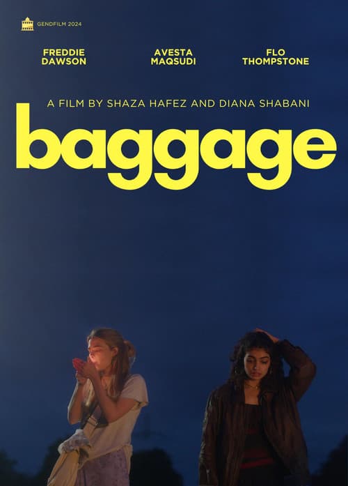 Постер: Baggage