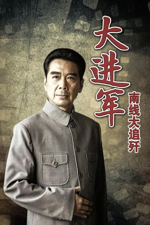 Постер: 大进军2:南线大追歼