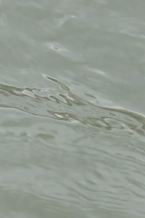 Постер: entre les vagues (un hommage)